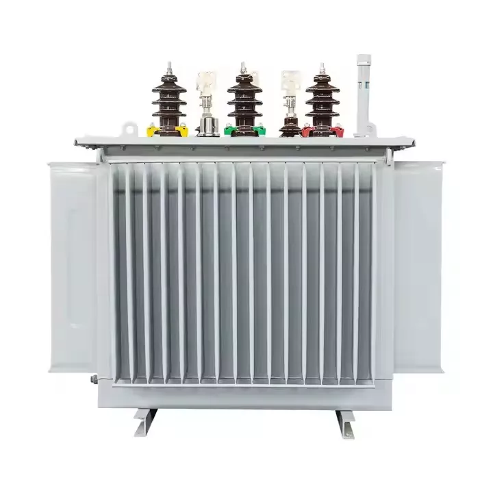 1000 kVA Yastıqlı Üç Fazalı Yağlı Paylayıcı Transformatorlar
