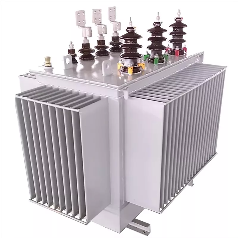 Yüksək Tezlikli Üç Fazalı 1000kVA Yağlı Transformator